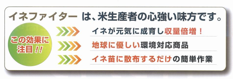 Clt@C^[̌