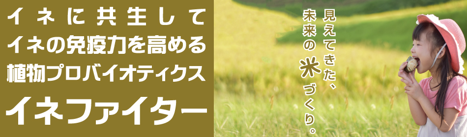 K[fjOE_Ǝނ̃lbg̔ IdeShokai OnlineShop